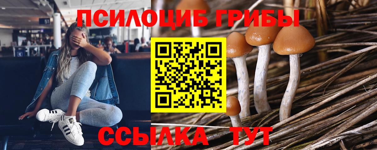 Галлюциногенные грибы прущие грибы Сыктывкар